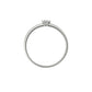 Anne Ring